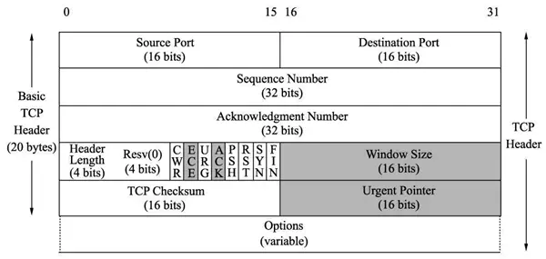 tcp报文